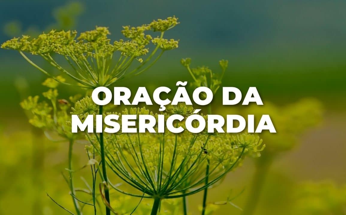 ORAÇÃO DA MISERICÓRDIA