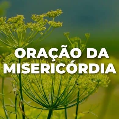 ORAÇÃO DA MISERICÓRDIA