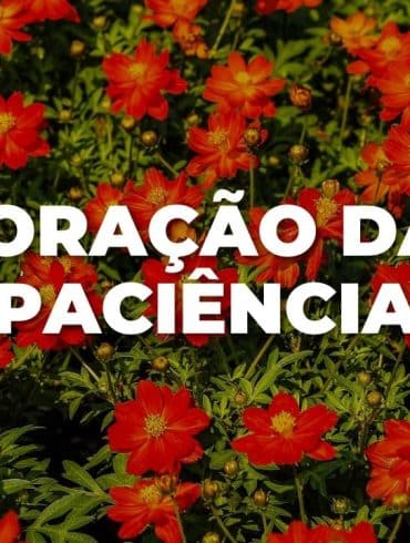 ORAÇÃÓ DA PACIÊNCIA