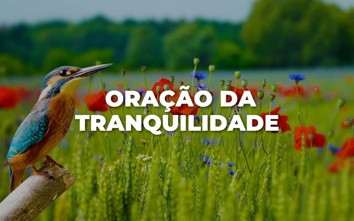 ORAÇÃO DA TRANQUILIDADE