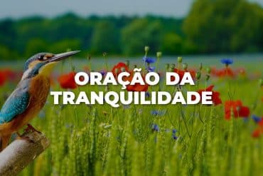 ORAÇÃO DA TRANQUILIDADE