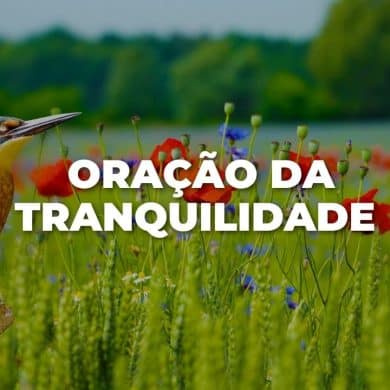 ORAÇÃO DA TRANQUILIDADE