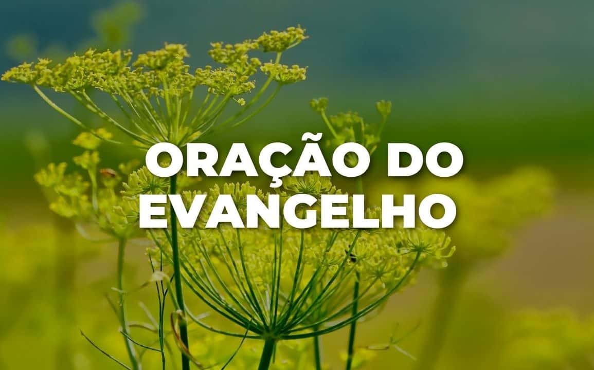 ORAÇÃO EVANGELHO