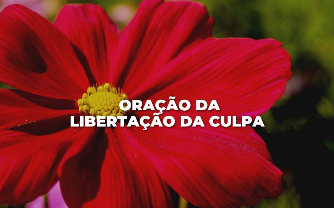 ORAÇÃO DA LIBERTAÇÃO DA CULPA