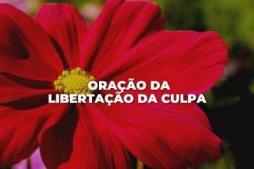 ORAÇÃO DA LIBERTAÇÃO DA CULPA