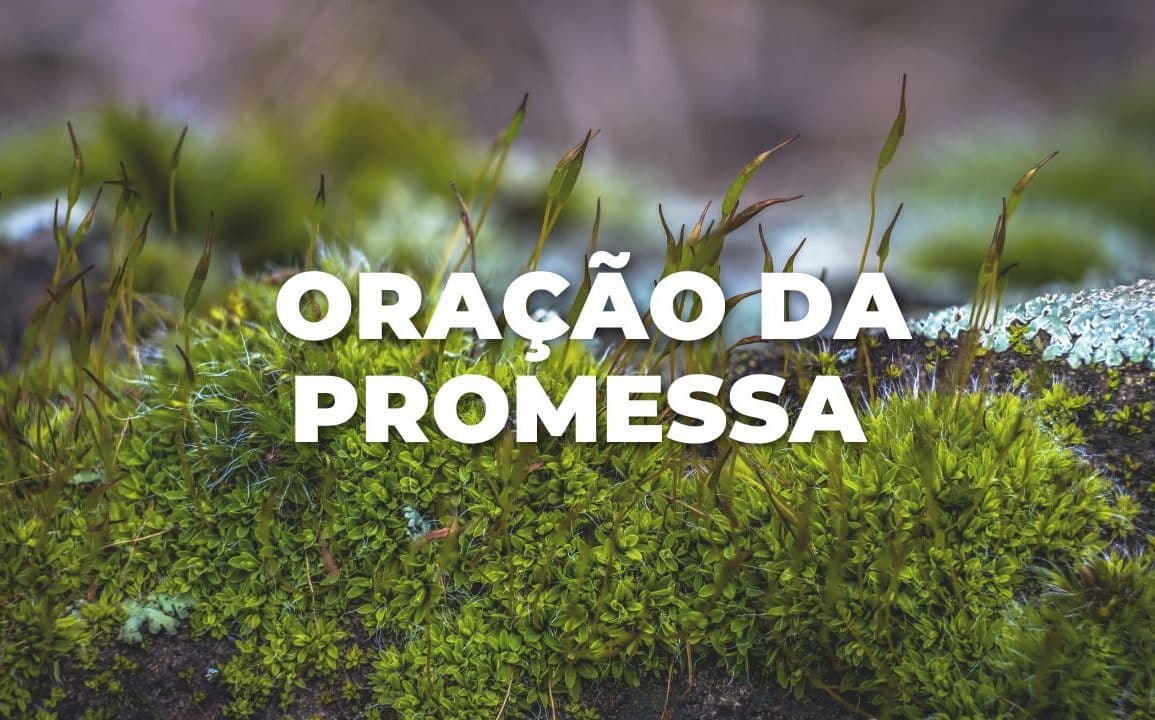 ORAÇÃO DA PROMESSA