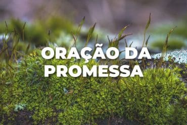 ORAÇÃO DA PROMESSA