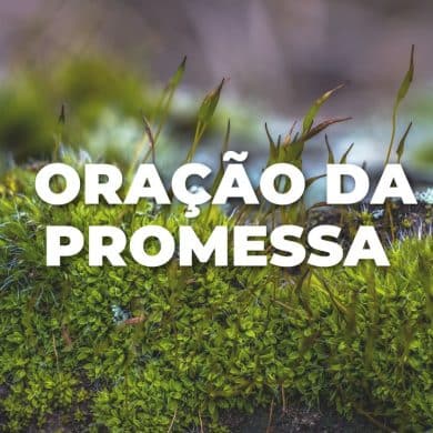 ORAÇÃO DA PROMESSA