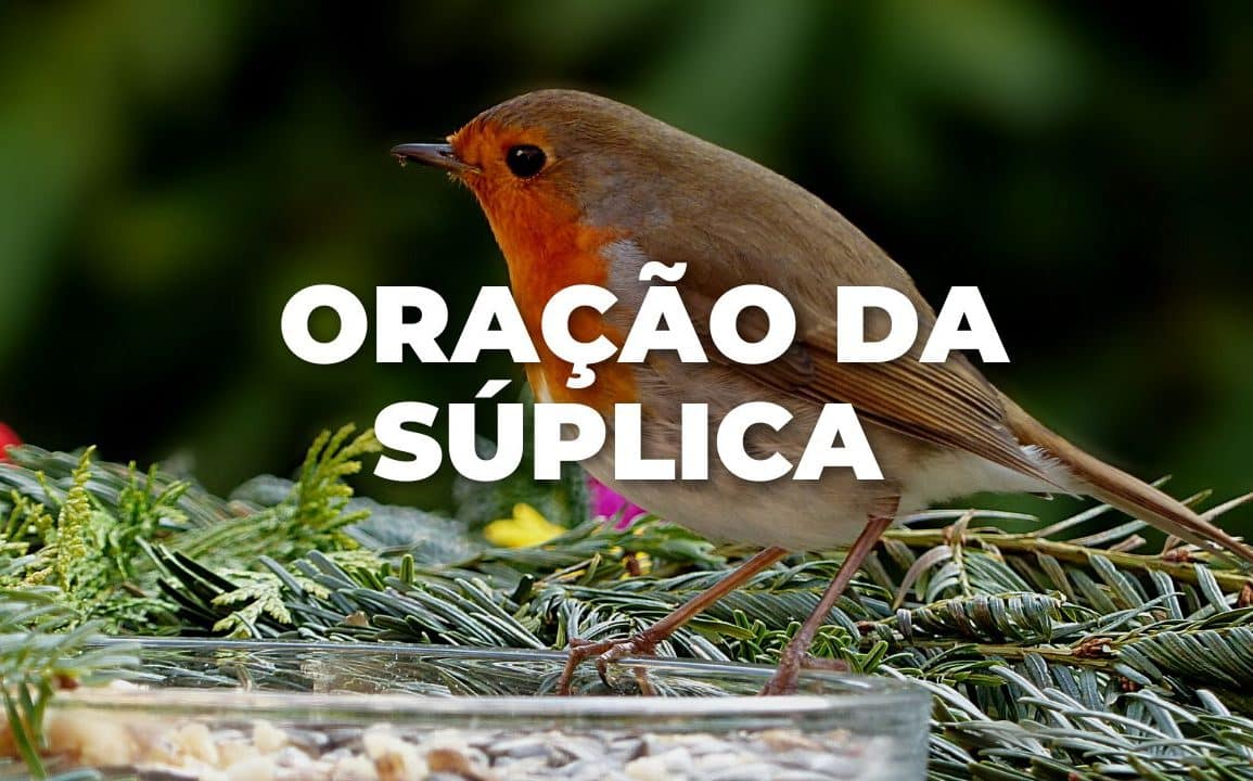 ORAÇÃO DA SÚPLICA
