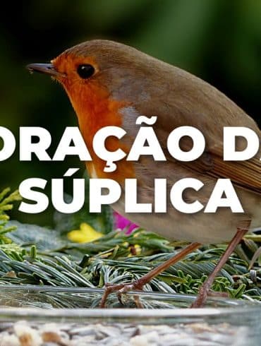 ORAÇÃO DA SÚPLICA