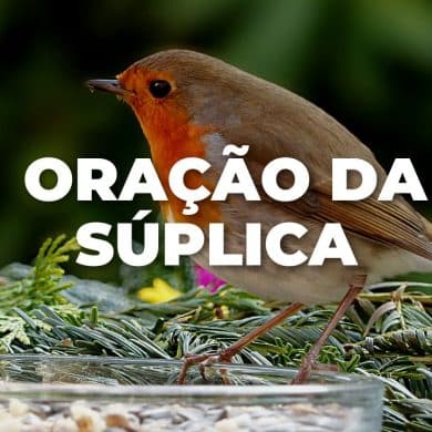 ORAÇÃO DA SÚPLICA