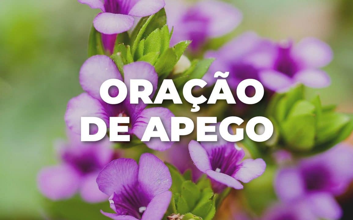 ORAÇÃO DE APEGO