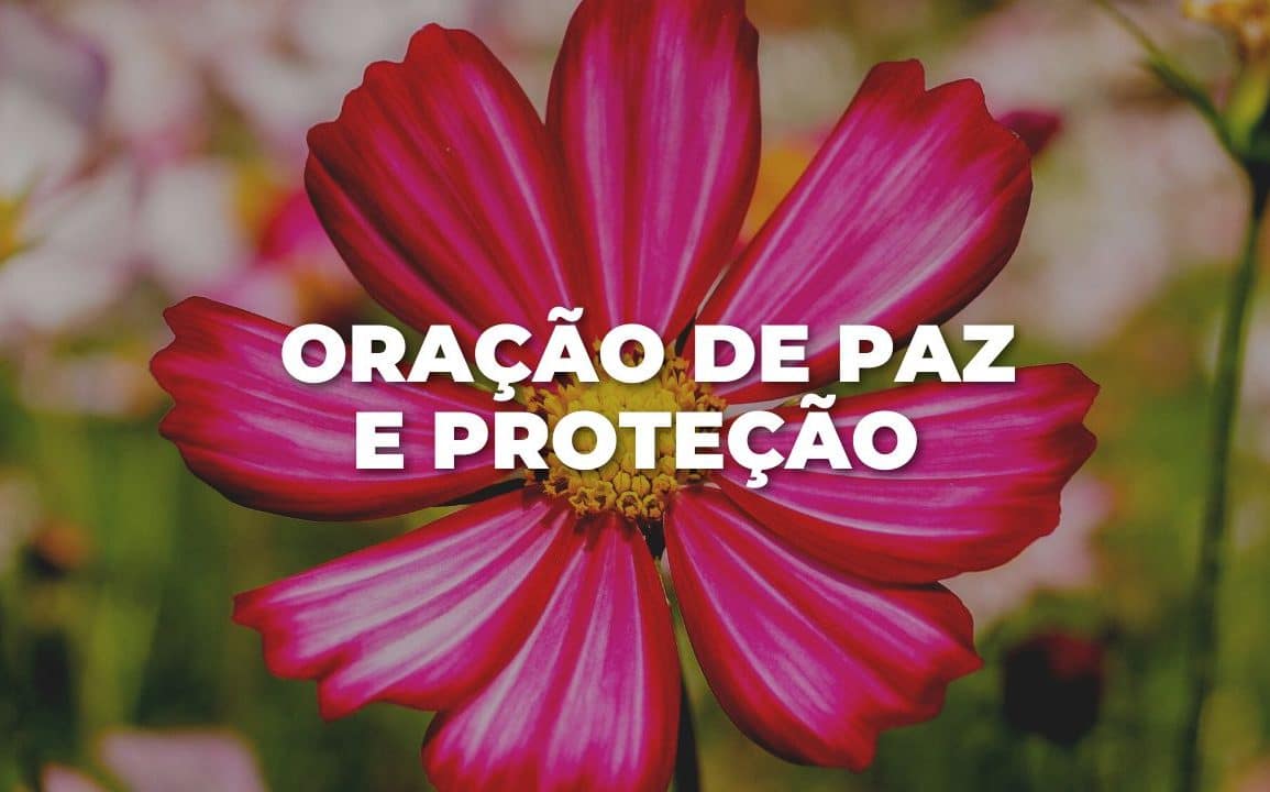 ORAÇÃO DE PAZ E PROTEÇÃO