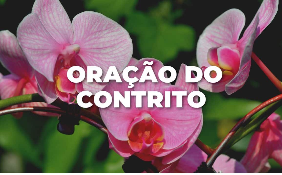 ORAÇÃO DO CONTRITO