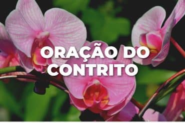 ORAÇÃO DO CONTRITO