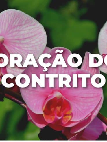 ORAÇÃO DO CONTRITO