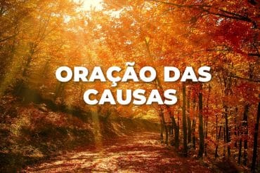 ORAÇÃO DAS CAUSAS