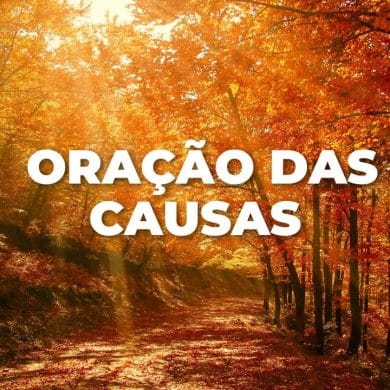 ORAÇÃO DAS CAUSAS