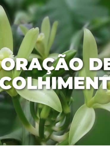 ORAÇÃO DE ACOLHIMENTO