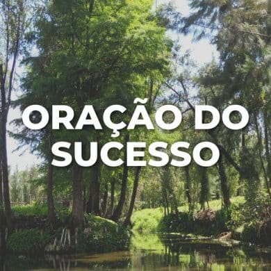 ORAÇÃO DO SUCESSO