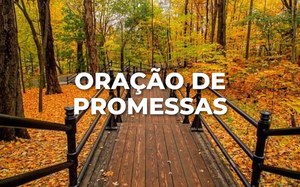 ORAÇÃO DE PROMESSAS