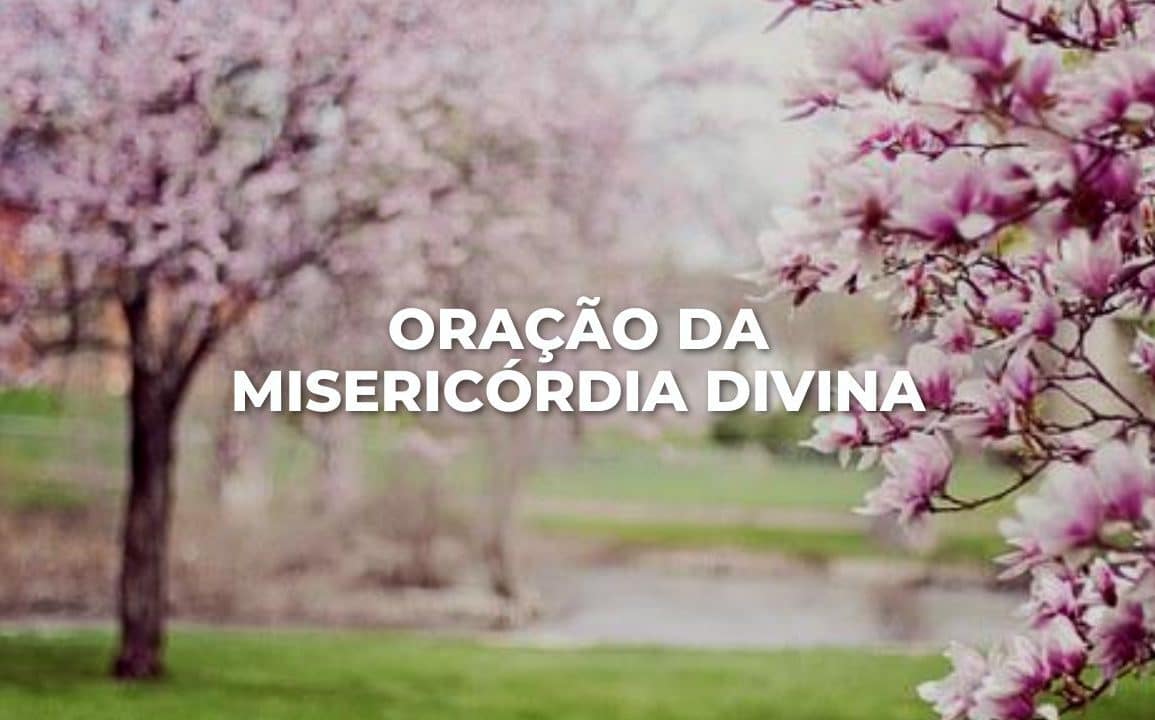 ORAÇÃO DA MISERICÓRDIA DIVINA