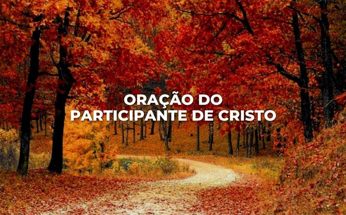 ORAÇÃO DO PARTICIPANTE DE CRISTO