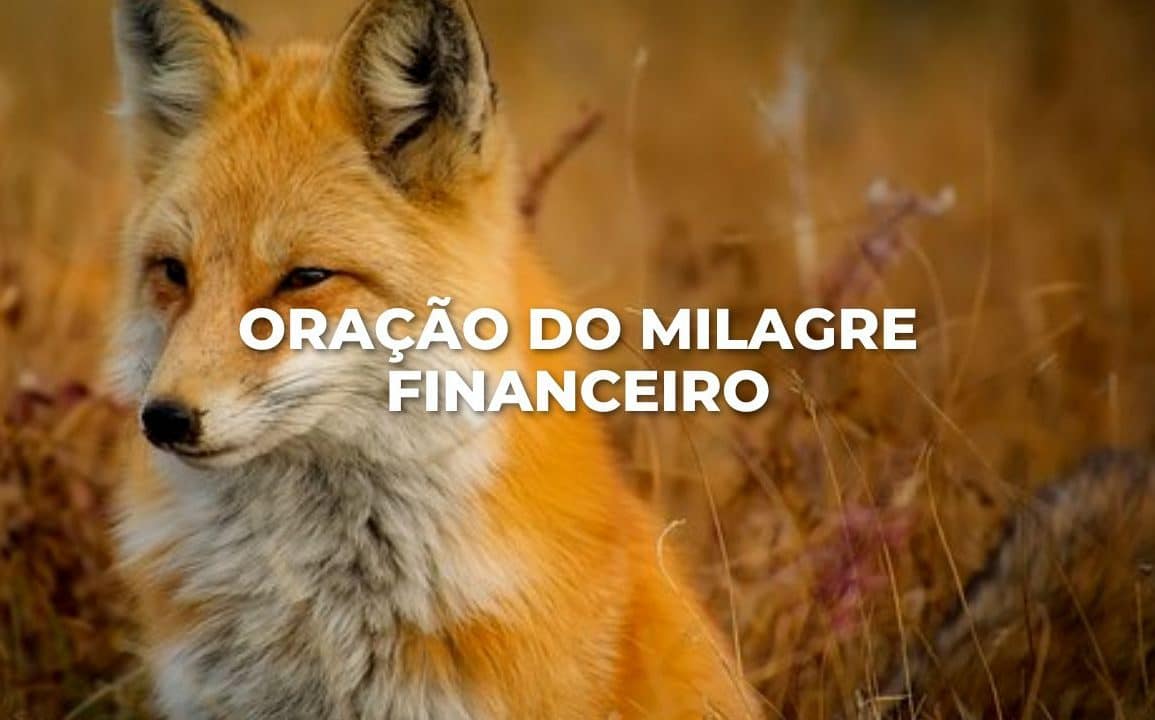 ORAÇÃO DO MILAGRE FINANCEIRO