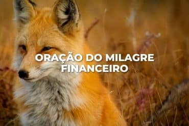 ORAÇÃO DO MILAGRE FINANCEIRO