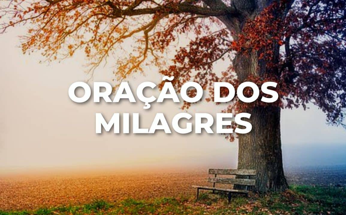 ORAÇÃO DOS MILAGRES