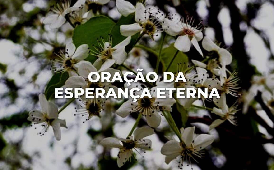 ORAÇÃO DA ESPERANÇA ETERNA
