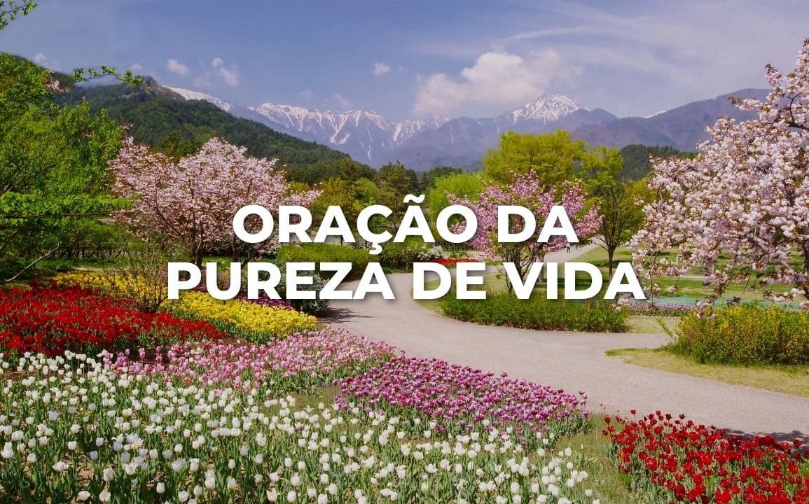 ORAÇÃO DA PUREZA DE VIDA