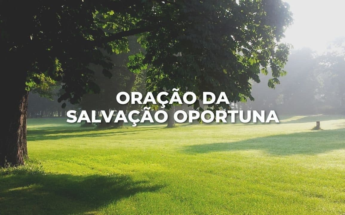 ORAÇÃO DA SALVAÇÃO OPORTUNA