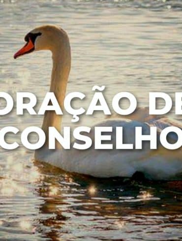 ORAÇÃO DE CONSELHO