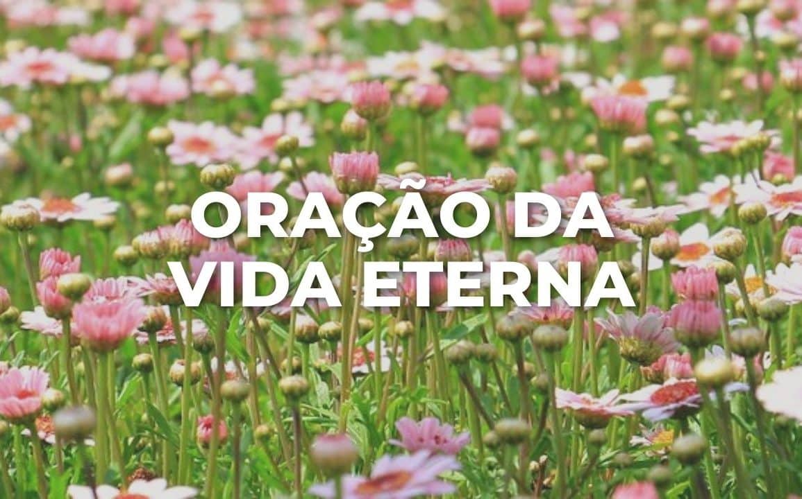 ORAÇÃO DA VIDA ETERNA
