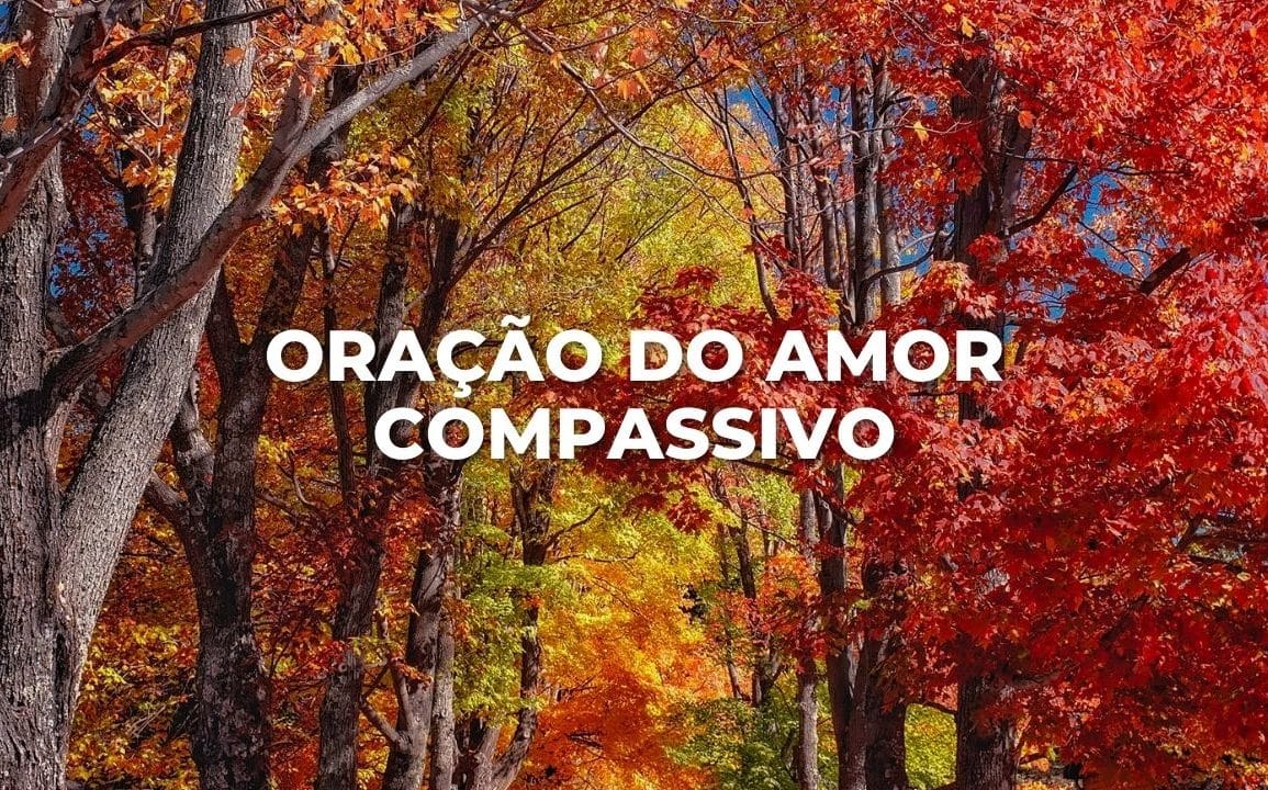 ORAÇÃO AMOR COMPASSIVO
