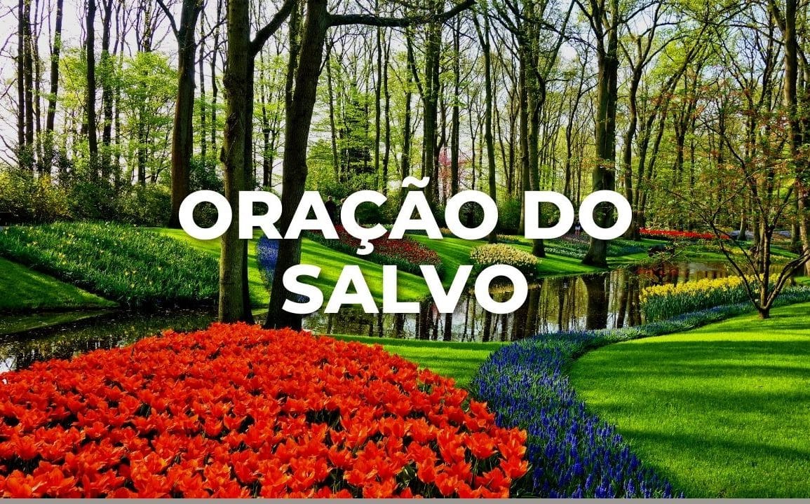 ORAÇÃO DO SALVO
