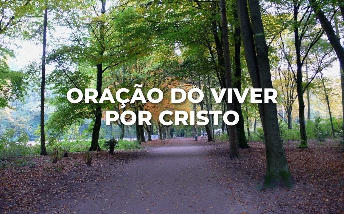 ORAÇÃO DO VIVER POR CRISTO