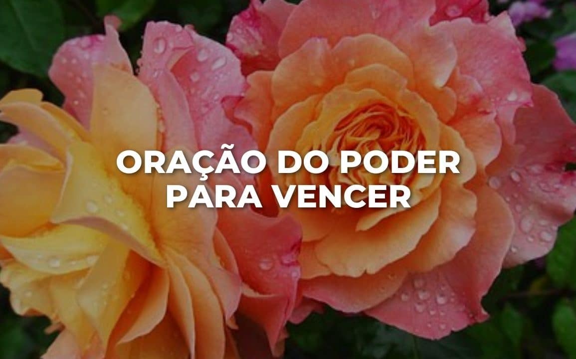 ORAÇÃO DO PODER PARA VENCER