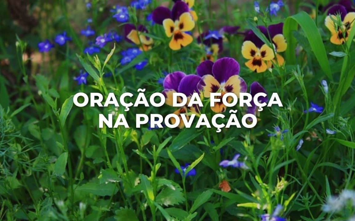 ORAÇÃO DA FORÇA NA PROVAÇÃO