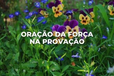 ORAÇÃO DA FORÇA NA PROVAÇÃO