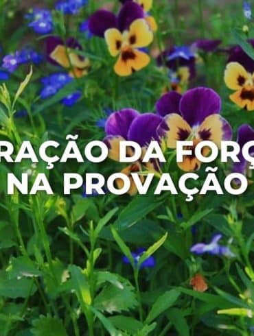 ORAÇÃO DA FORÇA NA PROVAÇÃO