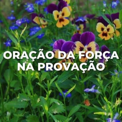 ORAÇÃO DA FORÇA NA PROVAÇÃO