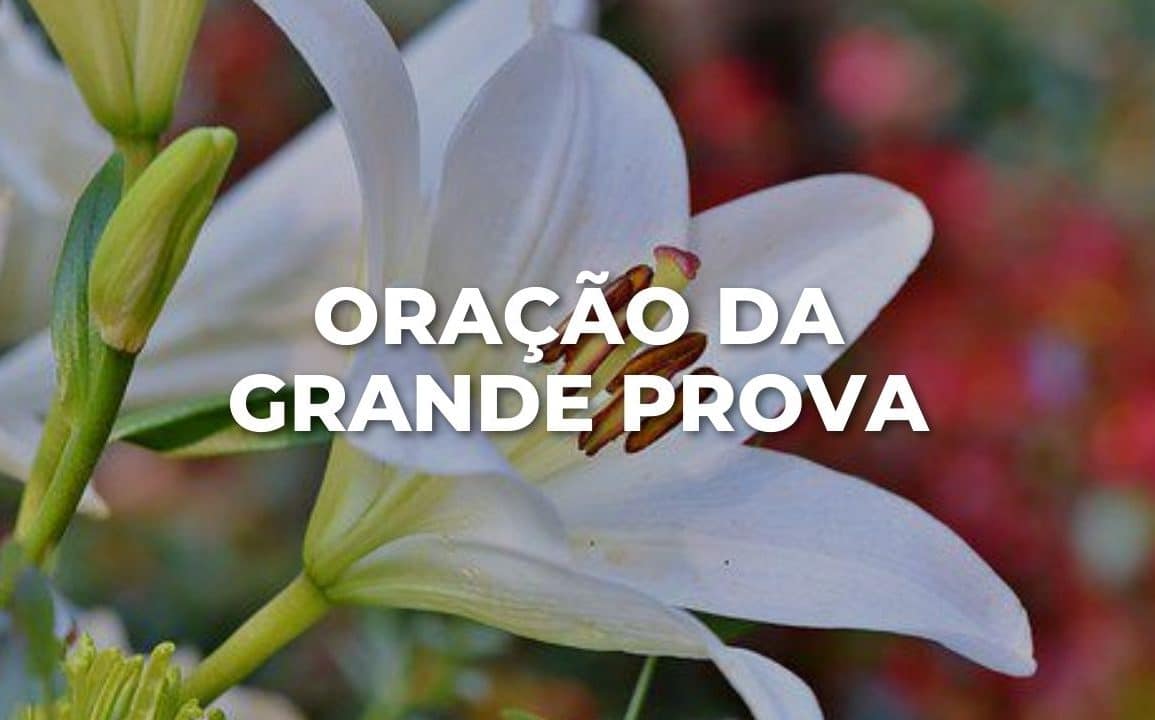 ORAÇÃO DA GRANDE PROVA