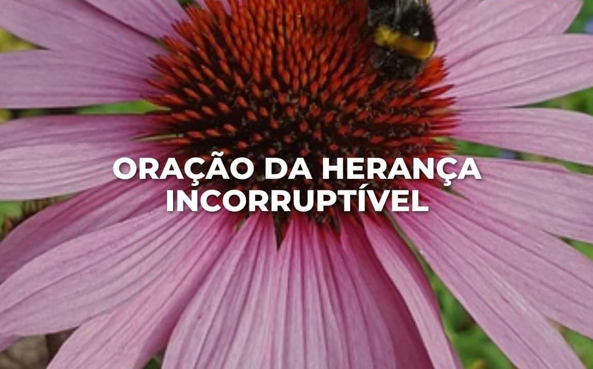 ORAÇÃO DA HERANÇA INCORRUPTÍVEL