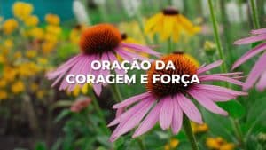 ORAÇÃO DA CORAGEM E FORÇA