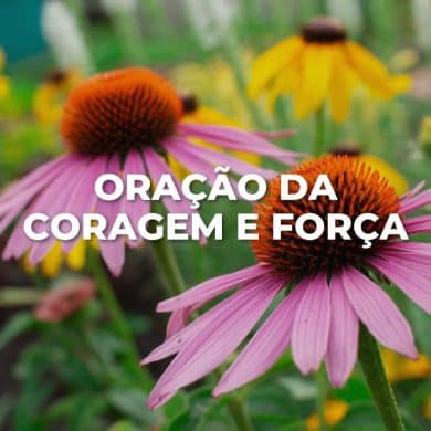 ORAÇÃO DA CORAGEM E FORÇA