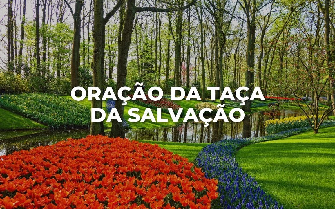 ORAÇÃO DA TAÇA DA SALVAÇÃO