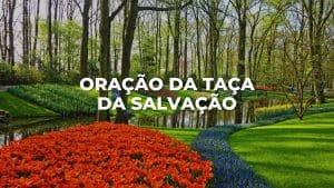 ORAÇÃO DA TAÇA DA SALVAÇÃO