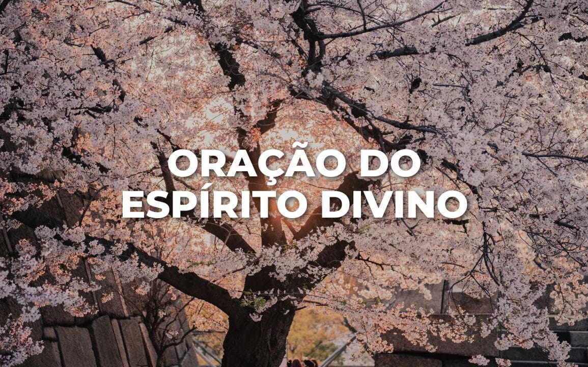 ORAÇÃO DO ESPÍRITO DIVINO
